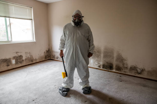 Best Crawl Space Mold Removal  in Coolidge, AZ