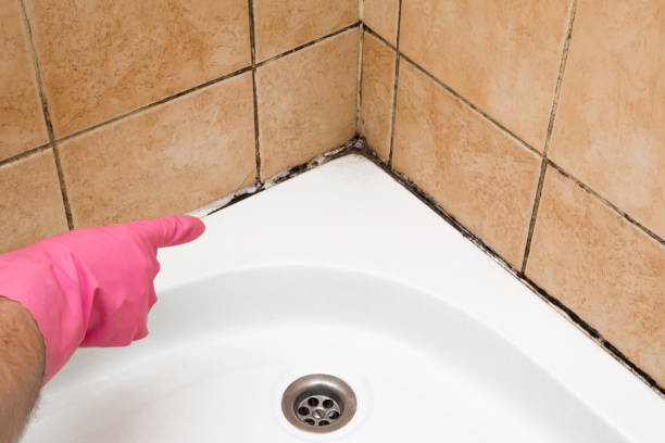 Best Mold Cleaning Services  in Coolidge, AZ